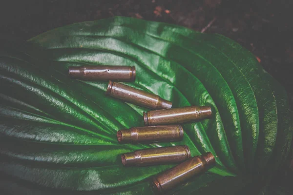 Cartuchos Tiro Vacíos Una Munición Arma Automática Una Hoja Verde — Foto de Stock