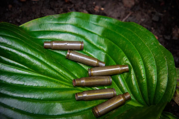 Büyük Yeşil Bir Yaprak Üzerinde Otomatik Bir Silah Mühimmat Boş — Stok fotoğraf