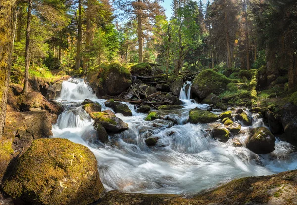Потоки Горной Реки Окружении Камней Заросших Мхом Зеленом Горном Лесу — стоковое фото