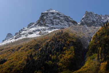 Dağ yamacı, kar ve mavi gökyüzü ile kaplı taş tepeli yeşil ağaçlarla kaplıydı.