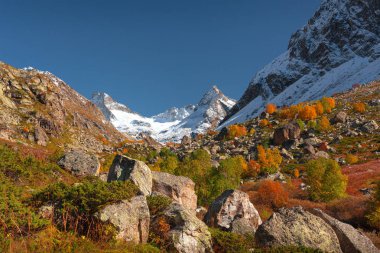 Sonbahar manzarası, kardaki dağlar mavi gökyüzü yeşil çalılar ve sararmış ağaçlarla çevrili. Muruju Nehri Boğazı