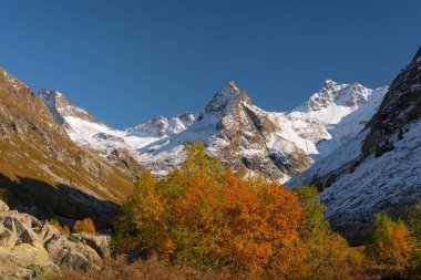 Sonbahar manzarası, kardaki dağlar mavi gökyüzü yeşil çalılar ve sararmış ağaçlarla çevrili. Muruju Nehri Boğazı
