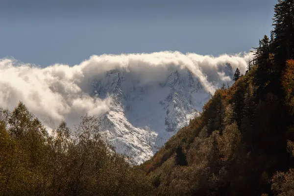 山顶覆盖着白雪覆盖的云彩 山坡上空荡荡的树木 — 图库照片