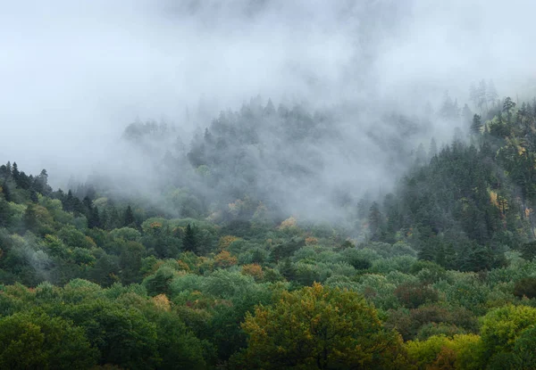 Grön Fjällskog Låga Moln — Stockfoto