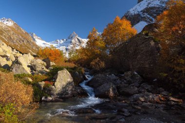Kardaki dağlar, açık mavi gökyüzüne karşı sarı ağaçlar ve çalılar ve büyük taşların arasında bir nehir. Sonbahar arkaplanı.