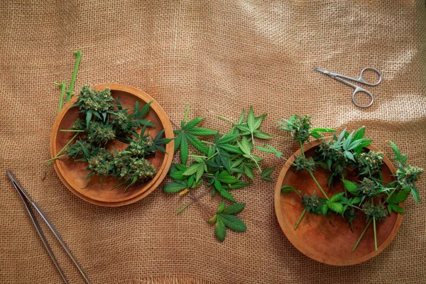 Cropped Cannabis Buds Leaves Wooden Plates — Stock Photo, Image