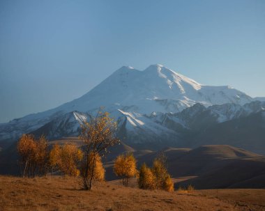 Elbrus Dağı 'nın zirvesindeki sonbahar portakal ağaçları. Sonbahar manzarası.