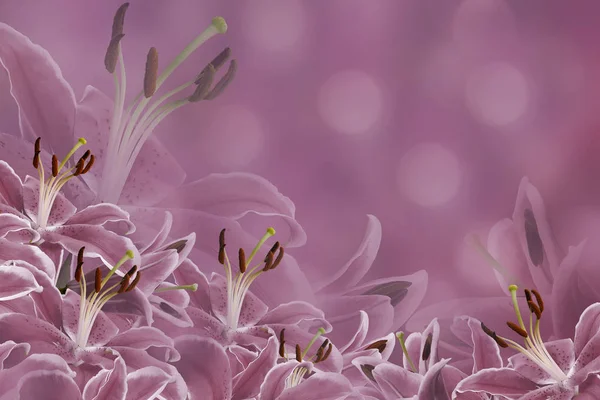 Floral purple background. Lily flowers on a blurred bokeh background. Flower composition. Nature.