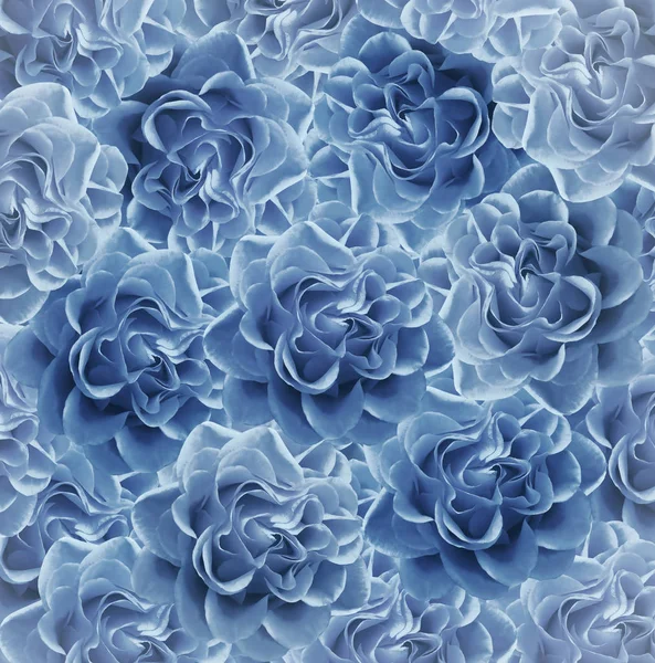 Vintage floral  light  blue beautiful background.  Flower composition. Bouquet of flowers from  light  blue roses. Close-up. Nature.