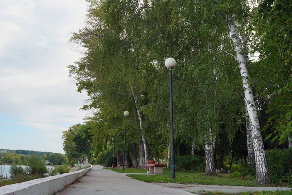 ヴォルガ川沿いの堤防 ウリャノフスク地方 センギリー市自然 — ストック写真