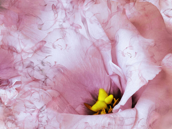 Floral pink background. . Close-up. Nature.