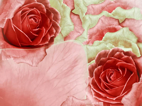 Sfondo Floreale Rosso Verde Rose Fiori Petali Rose Rosse Posto — Foto Stock