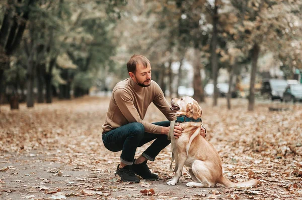 Homem Caucasiano Com Cão Parque Outono Época Outono Fotografia De Stock