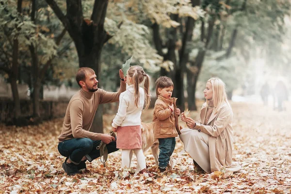 Família Caucasiana Feliz Parque Outono Mãe Pai Filho Filha Cão Imagens Royalty-Free