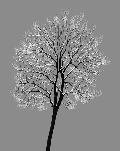 Дерево с заснеженными ветвями — стоковый вектор