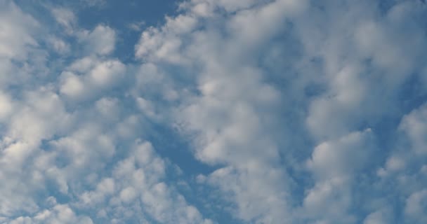 Beaux Cirrus Nuages Séparés Minces Filamenteux Nuages Flottant Lentement Sur — Video