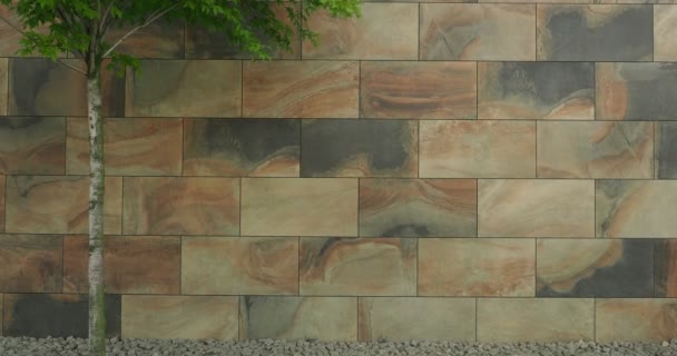 Wand Mit Großen Dekorativen Fliesen Marmorierter Marmor Als Hintergrund Verwendbar — Stockvideo