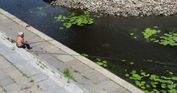 Человек Рыбак Берегу Залива Мостом Длинной Удочкой Рыбалки Водяные Лилии — стоковое видео