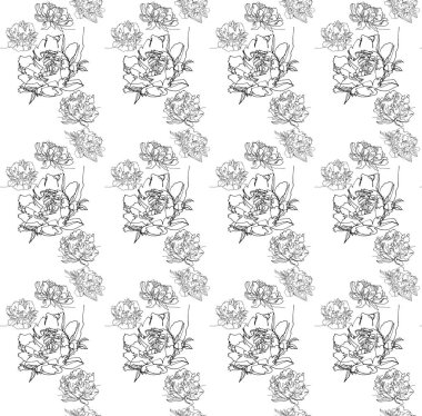 Bir çiçek sorunsuz süsleme şakayık çiçekleri