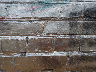 Huş kabuğu yakın çekim, gövde tüm yüzey doldurma