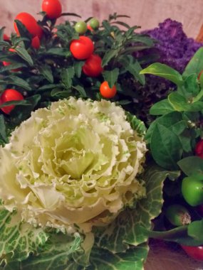 Natürmort sebze büyük lahanaları çiçek