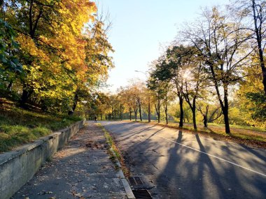 Boş sonbahar road, yeşillik sayesinde güneş