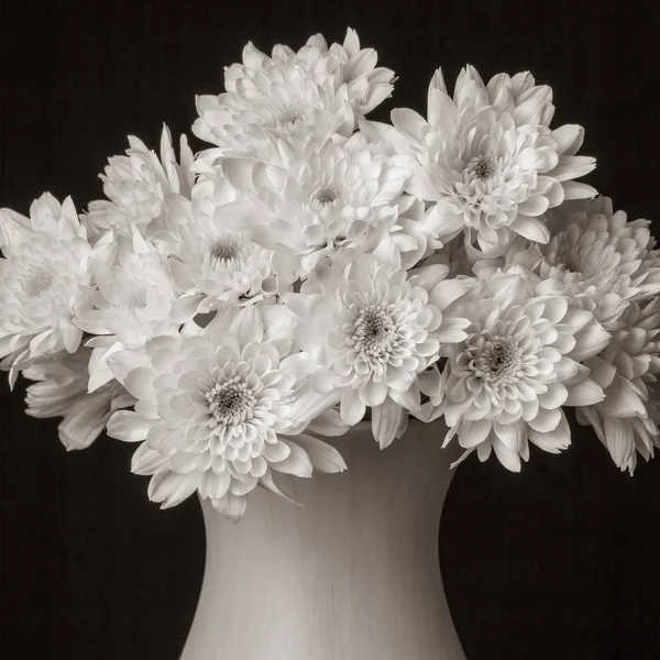 bouquet of flowers - Small white chrysanthemum more than 10 pieces in a vase on a completely black background