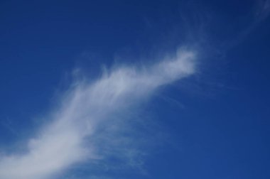 Mavi gökyüzü, beyaz bulutlar