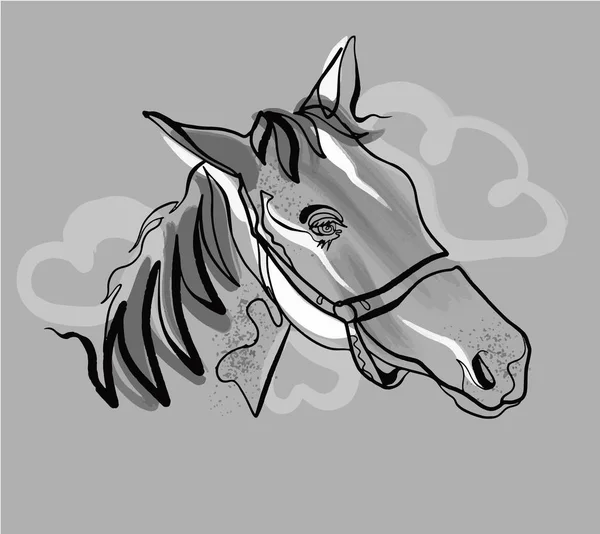 Head of horse with clouds — Stock Vector