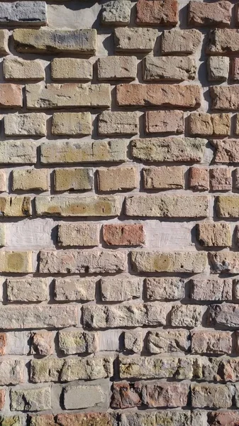 Modern dekoratif tuğla, kırmızımsı tuğla