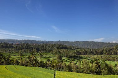 Botsvana, Afrika Okavango Delta