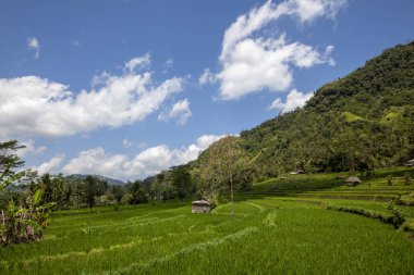 Botsvana, Afrika Okavango Delta