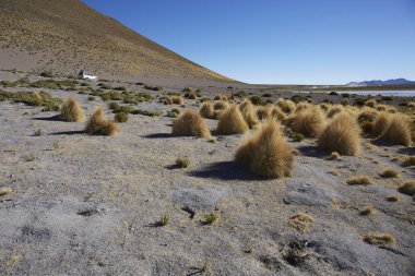 Farallon de Tara, arka planda 4wd ile tuz gölüne bakan plato