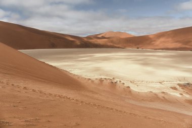 Beautiful colorful dunes of the Namib desert and dead trees in the Sossusvlei plato of the Namib Naukluft National Park - Namibia, South Africa