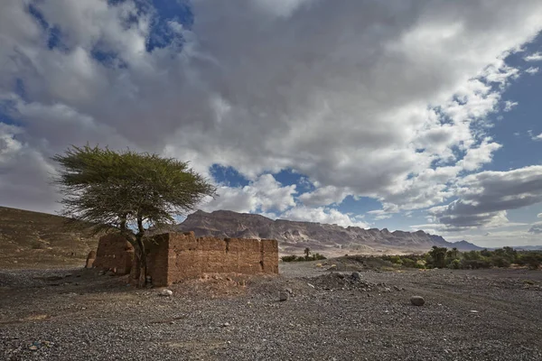 Dağlar Tarihi Palms Dragan Valley Yakınındaki Agdz Tamnougalt Souss Massa — Stok fotoğraf