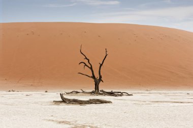 çöl Namib, Namibya, Sossusvlei yer