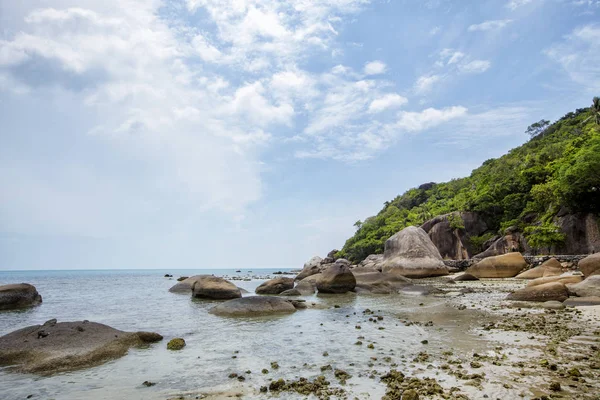 Tayland 'da tropik plaj