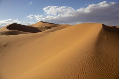 Erg African Merzouga Fas, Afrika yakınındaki Golden kumullar
