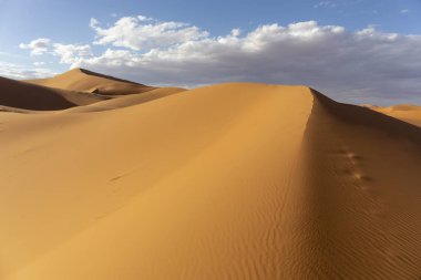 Güzel kumulları Sahara Çölü, Fas, Afrika