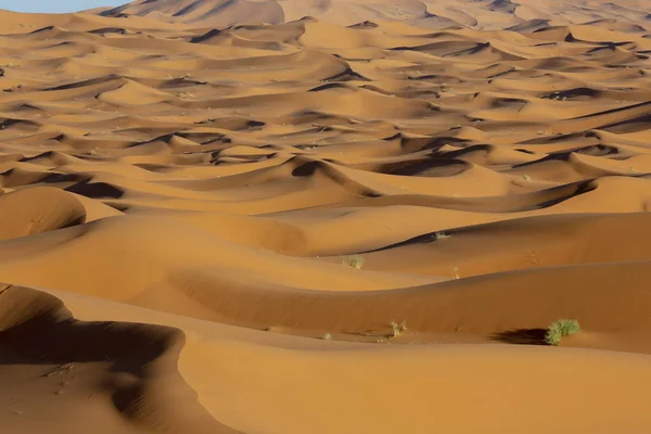 Landscape Sand Hot Desert Wind Sky Outdoor Panorama Wild Summer — Stock Photo, Image
