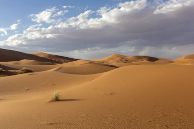 Dalgalı kum tepeleri dramatik gökyüzü bulutlar, Afrika arka plan üzerinde gün batımında