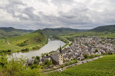 Panoramik manzara sonbahar üzüm bağları ile. Mosel, Almanya
