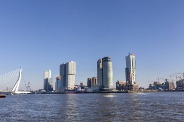 Rotterdam, Hollanda. Güzel güneşli bir şehir manzarası.