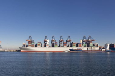 Rotterdam limanında büyük liman vinçleri konteyner gemileri yüklüyor.