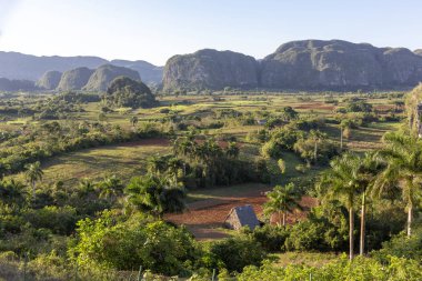 Görünüm alanları, mogotes ve avuç içi Vinales Valley, Küba