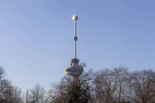 Uitzicht op het Park in Rotterdam op een zonnige dag in het najaar met een vijver, bomen, lawmns en in de achtergrond stad icoon de Euromast — Stockfoto