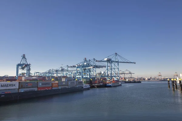 Terminal Contentores Porto Roterdão Nos Países Baixos — Fotografia de Stock