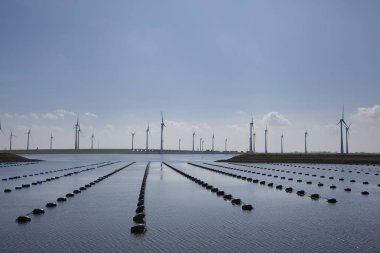 Kabuklu deniz hayvanı gemisi. Balıkçılık daha çok avlanma üzerine yoğunlaşıyor.