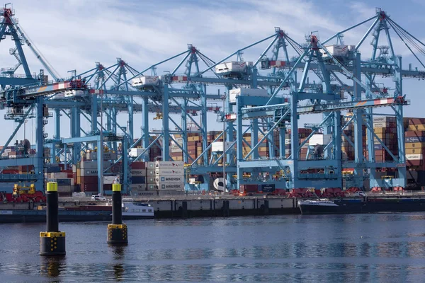 Maasvlakte 2, Rotterdam. Widok z lotu ptaka na terminal kontenerowy w th — Zdjęcie stockowe