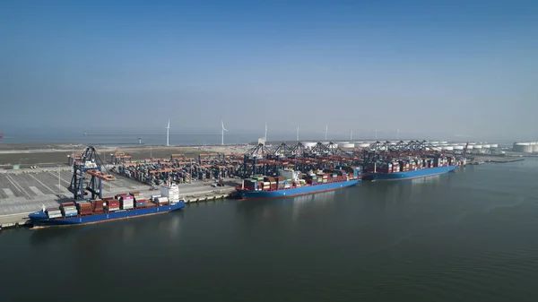 Aerial view of container terminal in the harbor MAASVLAKTE, Net — Stock Photo, Image
